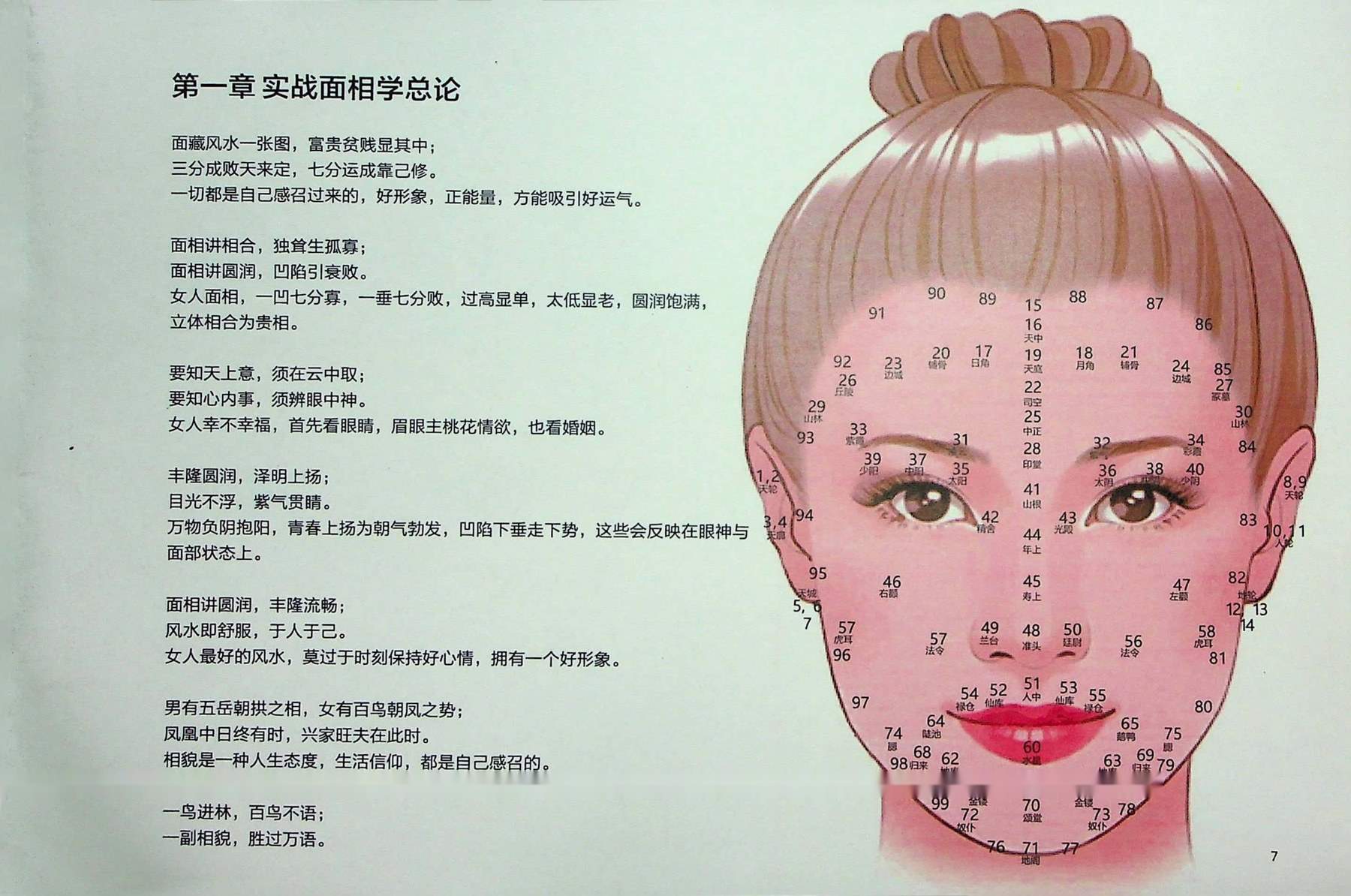 目录图