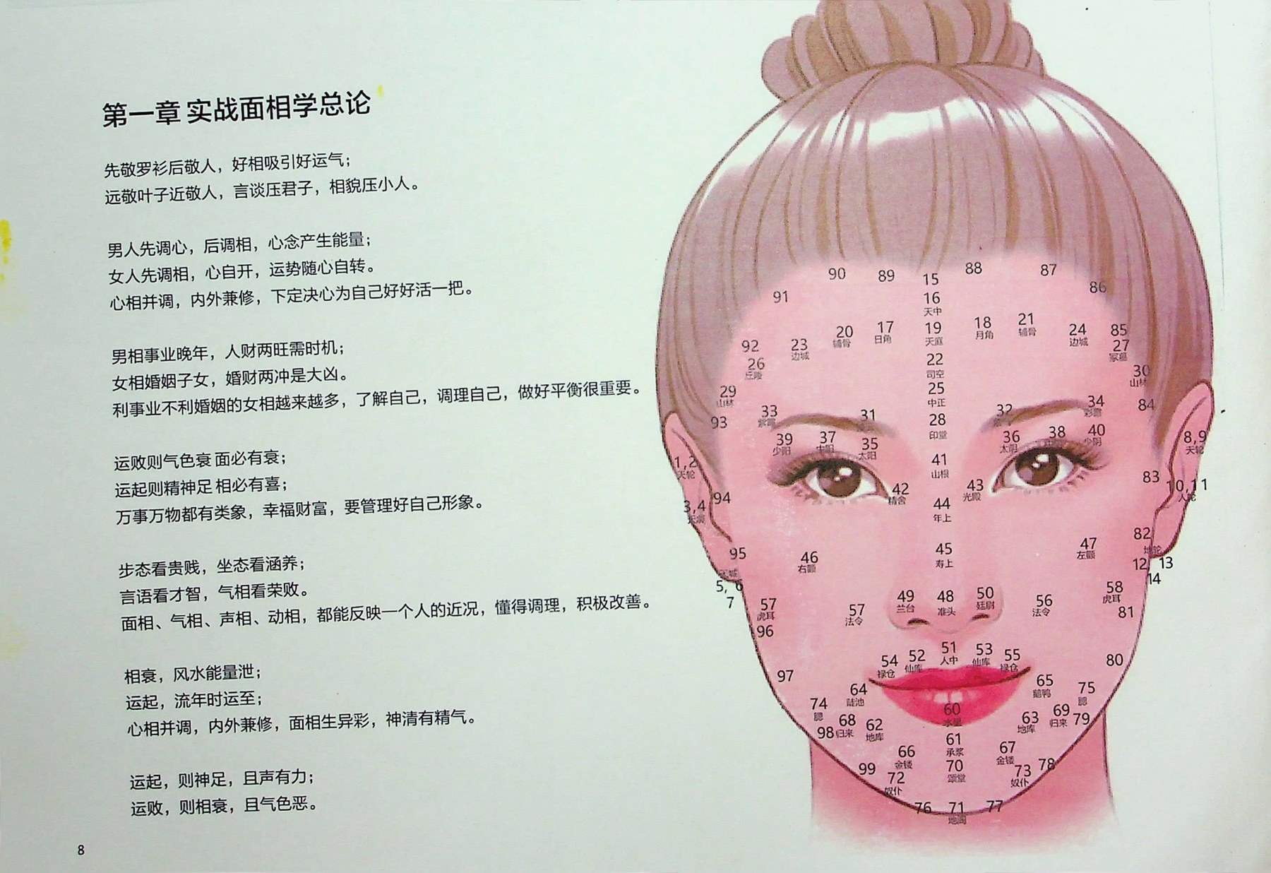 目录图