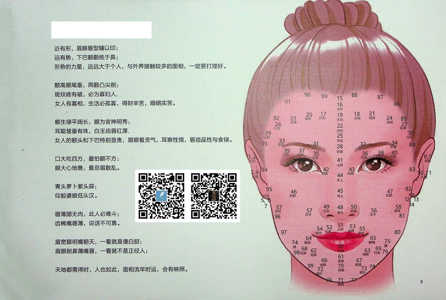 目录图