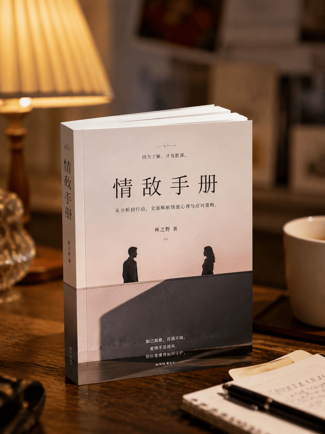 情敌手册